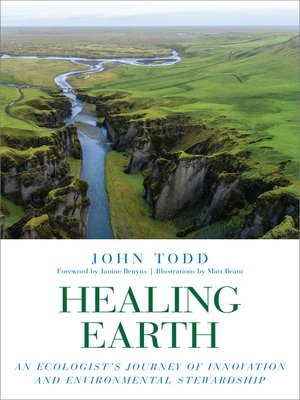 Healing Earth - ebook